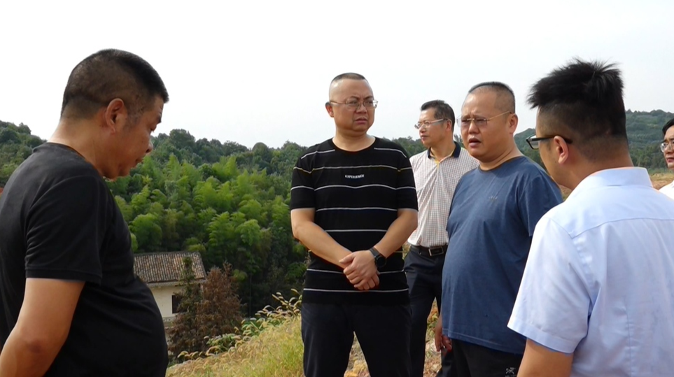 刘伟调研联手帮扶企业建设工作