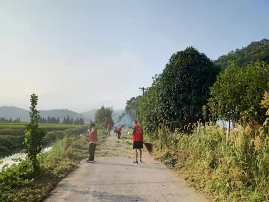岭坡乡朝圣村：让党旗在基层一线高高飘扬，全力助推农村人居环境整治