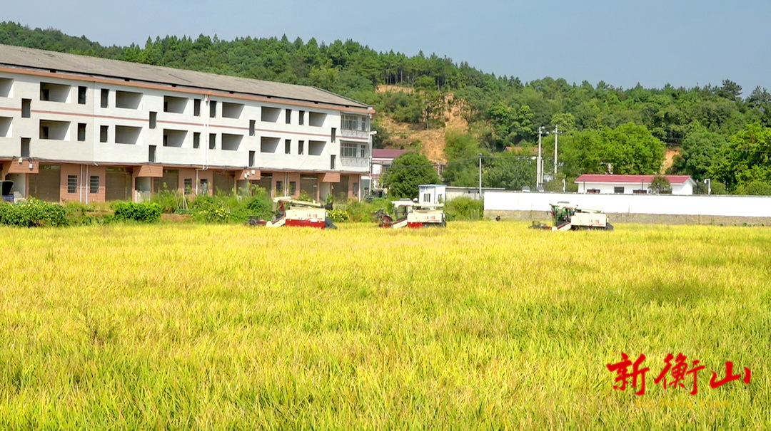 县农业农村局：机收减损技术培训 保障秋粮“颗粒归仓”