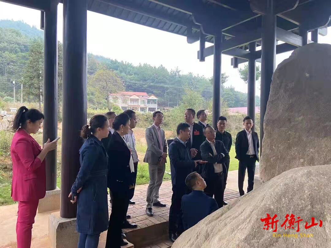 衡山政协委员调研考察禹王碑