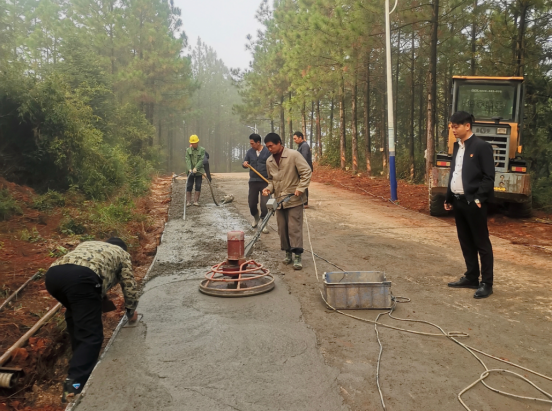贯塘乡板仓村：乡村振兴路上的这场“双向奔赴”特别甜
