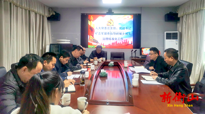 旷志军调研岭坡乡城乡治理标准化工作