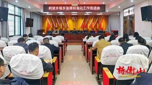 岭坡乡：多措并举开启新时代城乡治理标准化新征程