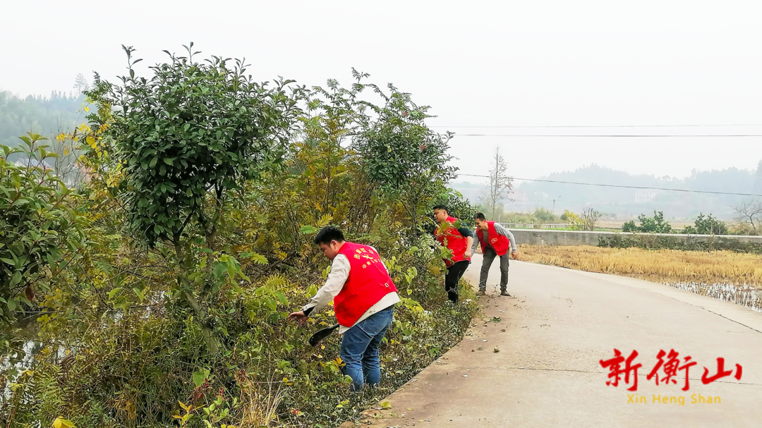 江东乡：志愿服务助力城乡治理标准化