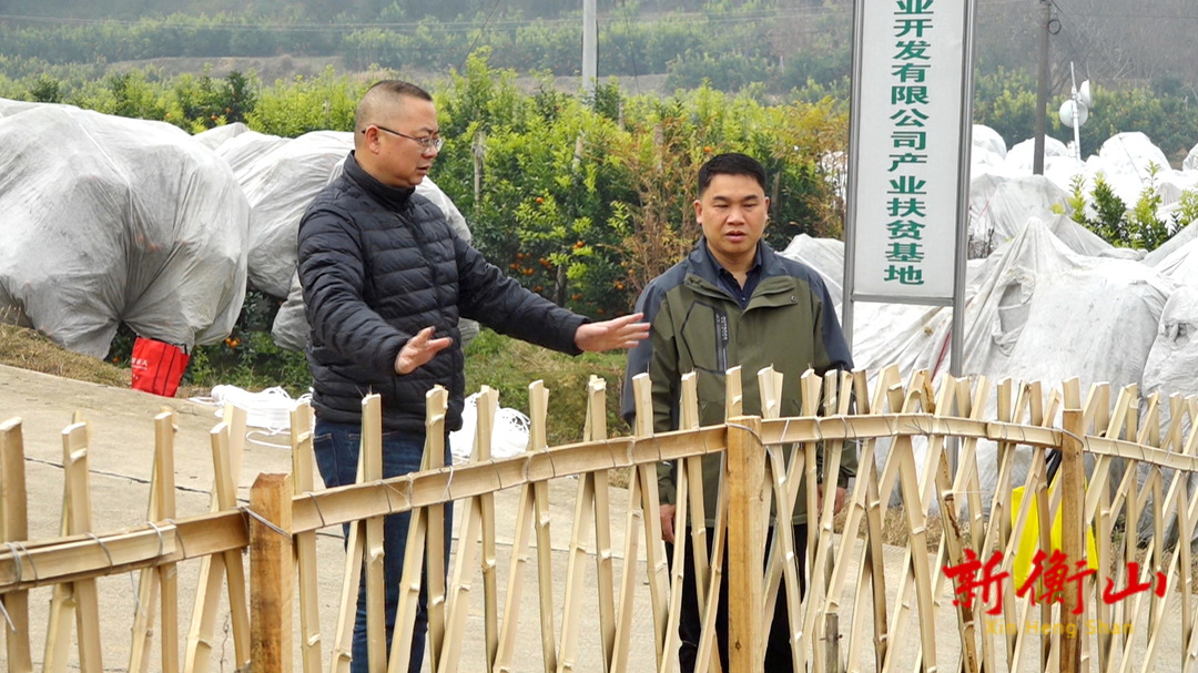 【标准化 新变化】  刘伟督导永和乡城乡治理标准化工作