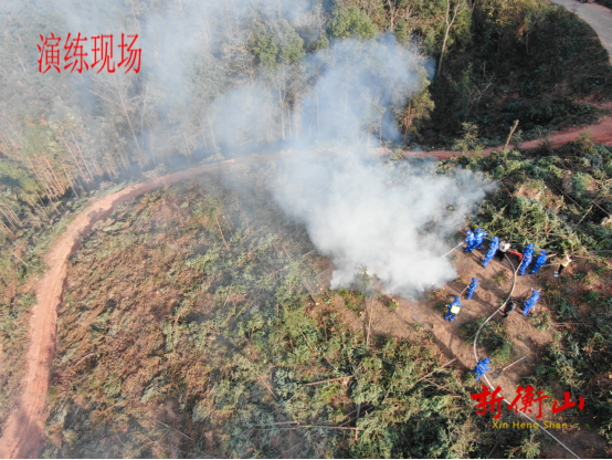 【标准化 新变化】新桥镇：开展森林防灭火应急演练 推进公共安全治理标准化