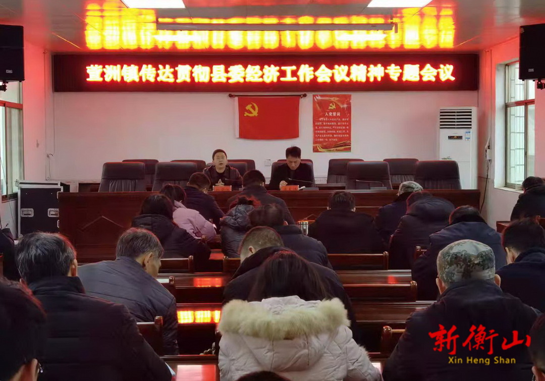 萱洲镇传达贯彻县委经济工作会议精神