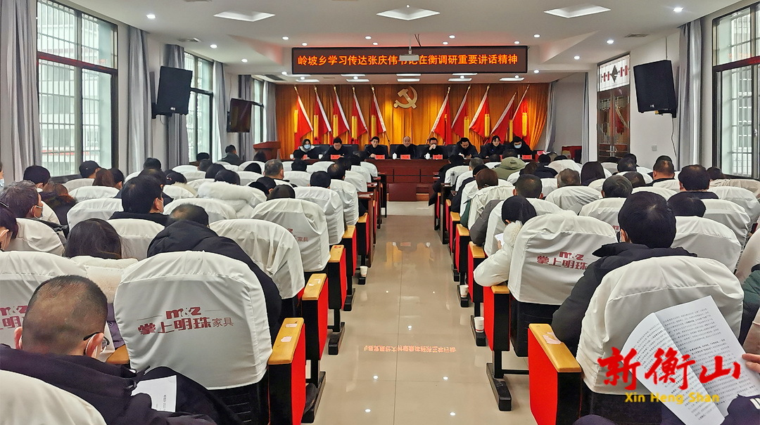 岭坡乡传达学习贯彻张庆伟书记在衡调研重要讲话精神