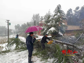 【战风雪 保民生】江东乡：“浴”雪奋战 党旗在抗灾一线飘扬