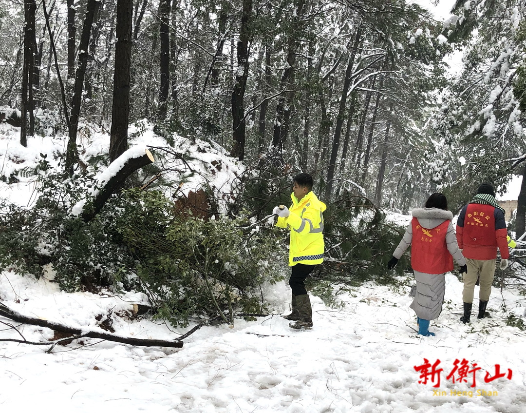【战风雪 保民生】贯塘乡：迎战冰雪，370余名党员风雪中践行使命担当