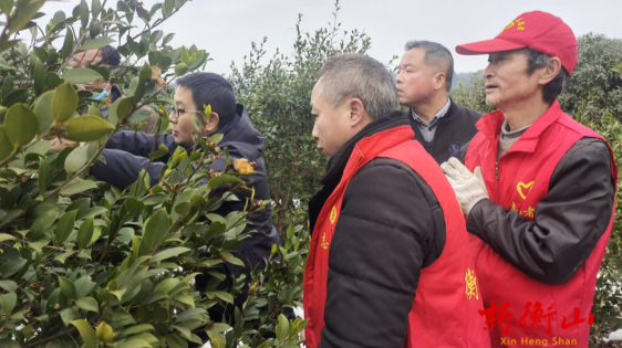 岭坡乡：冬春训为农村党员“充电蓄能”