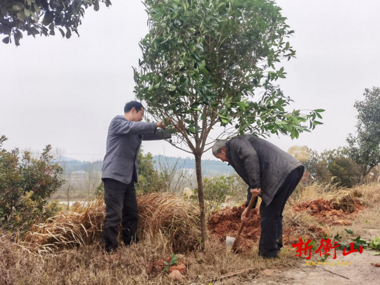 【标准化 新变化】湖南衡山萱洲国家湿地公园：植树添新绿 提升“生态颜值”