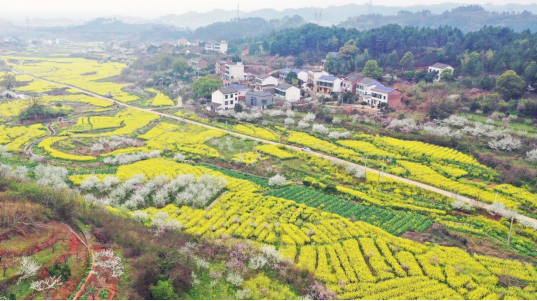 【图集】衡山：桃红李白菜花黄 步步成景美如画