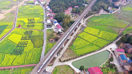 乡村振兴 | 衡山县双全新村：油菜花开春意浓 乡村旅游渐升温