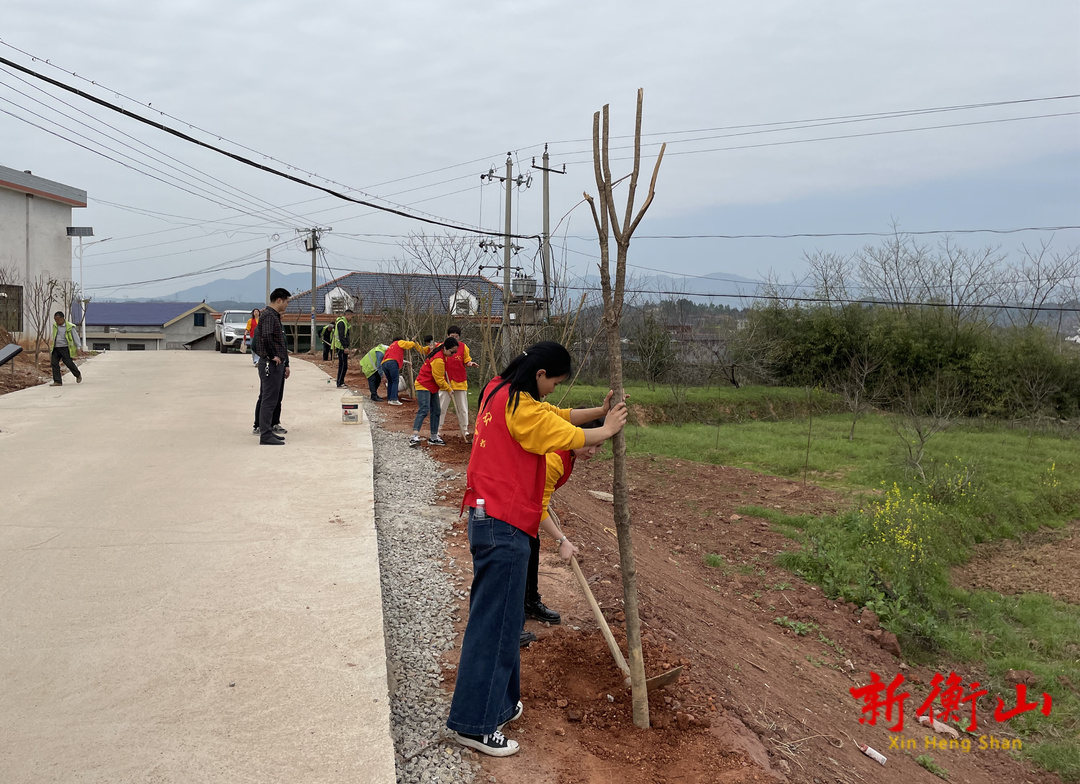 衡山：美化家园我行动 植树护绿巾帼行
