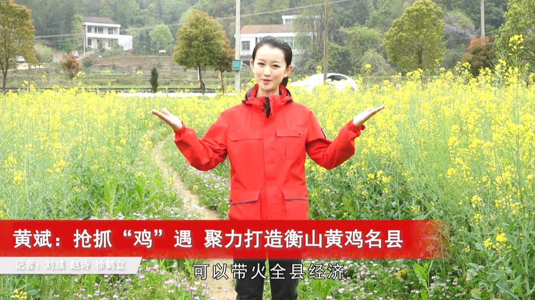 【小徐访委员】 黄斌：抢抓“鸡”遇  聚力打造衡山黄鸡名县