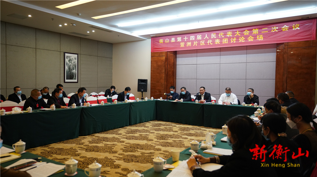 段晓赛参加萱洲片区代表团分组讨论