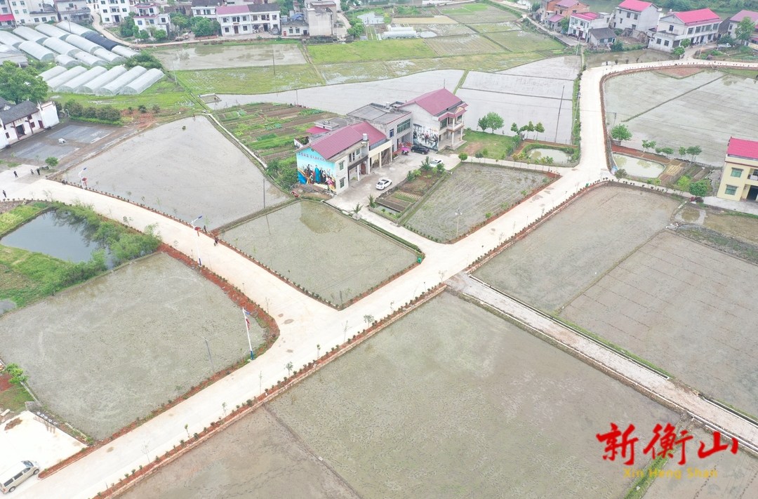 【标准化 新变化】  白果镇：标准化绿化植树 为乡村“添新绿”