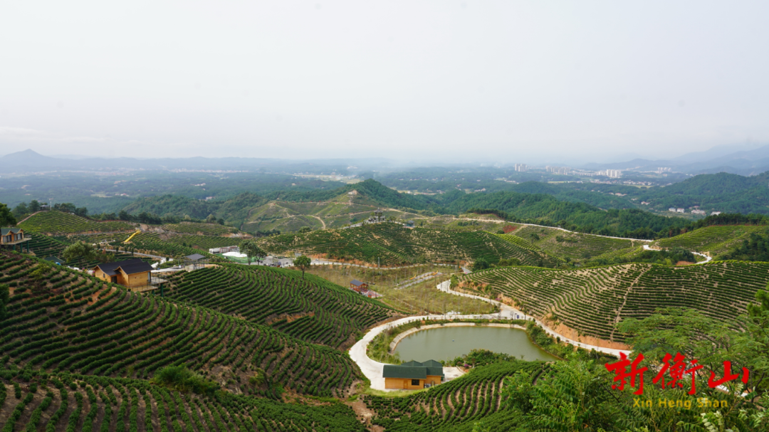 乡村振兴 | 衡山县双全景区：五一小长假 生态游受热捧