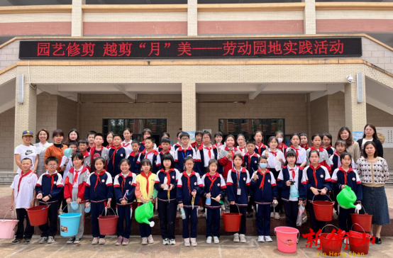 园艺修剪 越剪“月”美  ----景贤小学开展月季修剪劳动园地实践活动