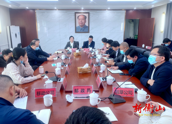 戴诗庭赴新桥镇调研城乡治理标准化和乡村振兴工作