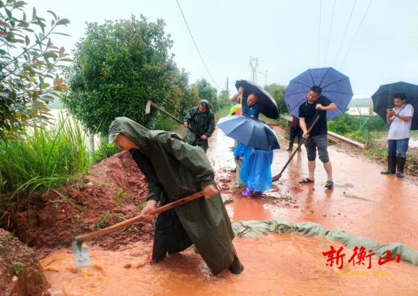 永和乡：暴雨来袭，我们“战”一线