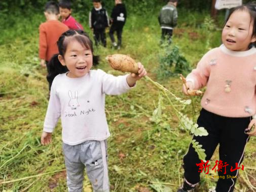 播种希望 收获快乐：衡山县岭坡乡中心幼儿园开展生态种植活动