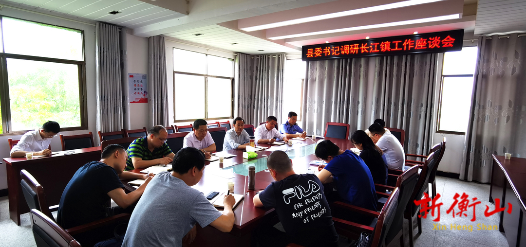 戴新贤在长江镇调研时强调：真抓实干提升治理效能 未雨绸缪守住安全底线