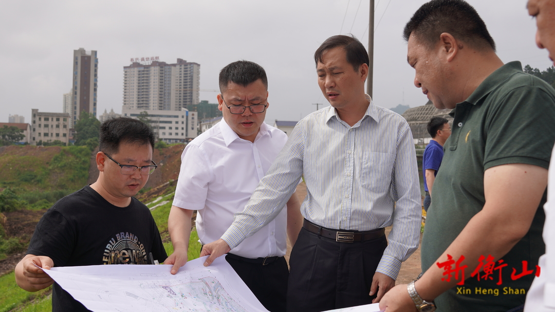 戴新贤：高标准打造城市公园 建设更高水平的生态宜居新衡山