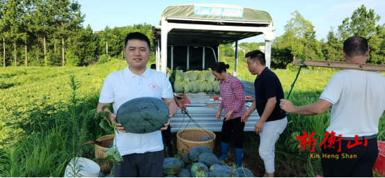 【农民丰收】衡山县萱洲镇永清村：致富藤上结出幸福瓜
