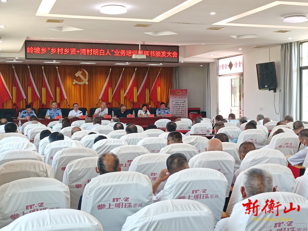 岭坡乡：开展人民调解业务培训 充电赋能强技巧