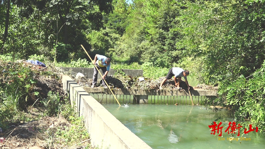 萱洲镇：组建“抗旱小分队” 为农田送“甘霖”