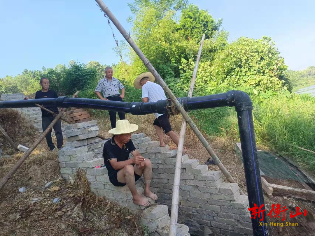衡山县江东乡：社区干部抗旱一线显身手