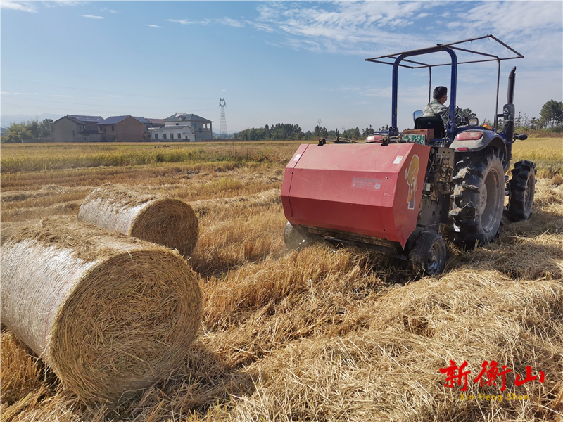 衡山县江东乡：机械回收秸秆变废为宝，助力消除森林火灾隐患