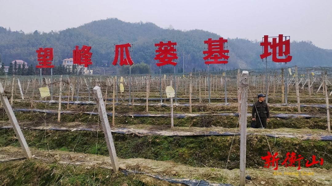 白龙社区﹕干部赴外地取经 为产业发展“蓄势赋能”