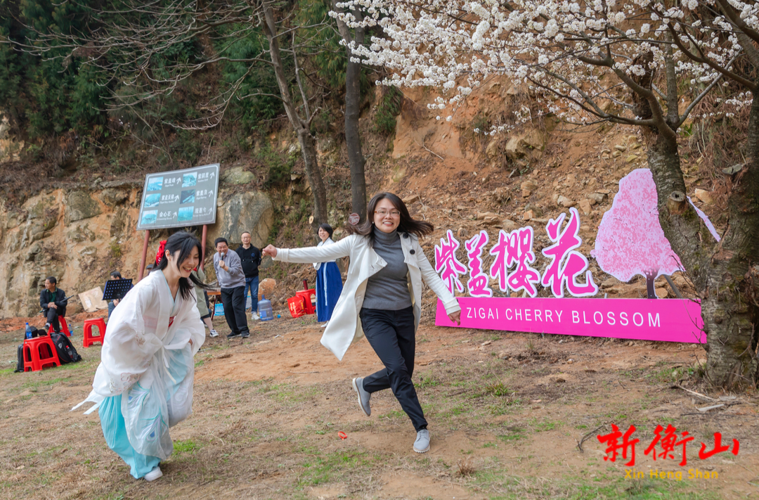 衡山开展紫盖峰山樱花文艺采风活动