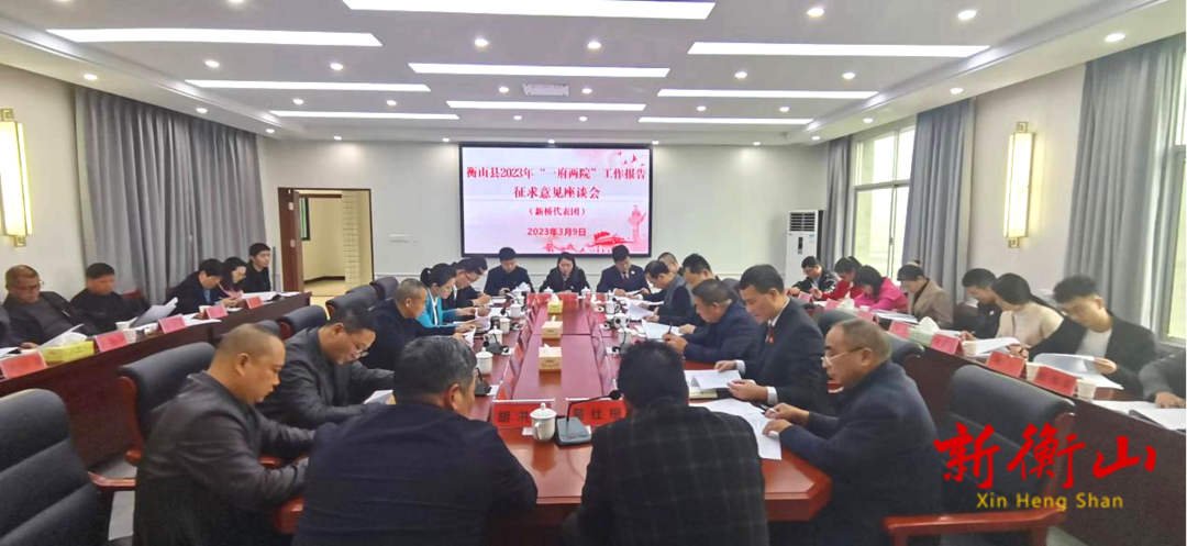 “一府两院”工作报告征求新桥片区意见座谈会召开