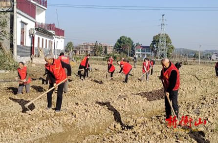 江东乡白龙社区：党日活动在地头 瓜蒌种植助力乡村振兴