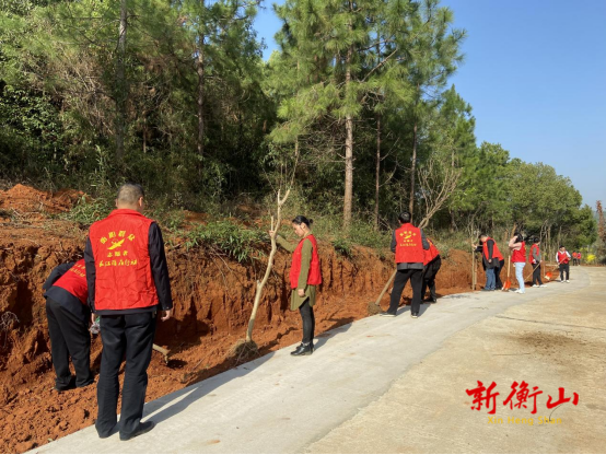 文明实践 | 长江镇：义务植树，共建美好家园