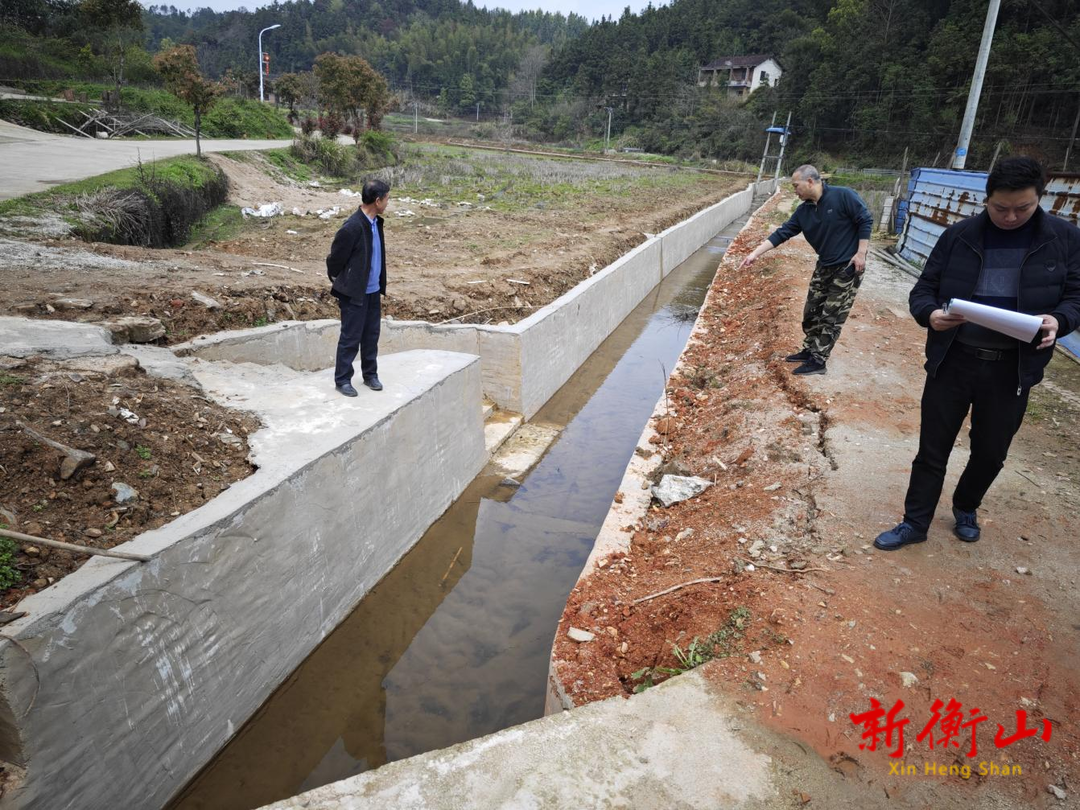 新桥镇：项目监管稳稳落地  财政资金助力乡村振兴