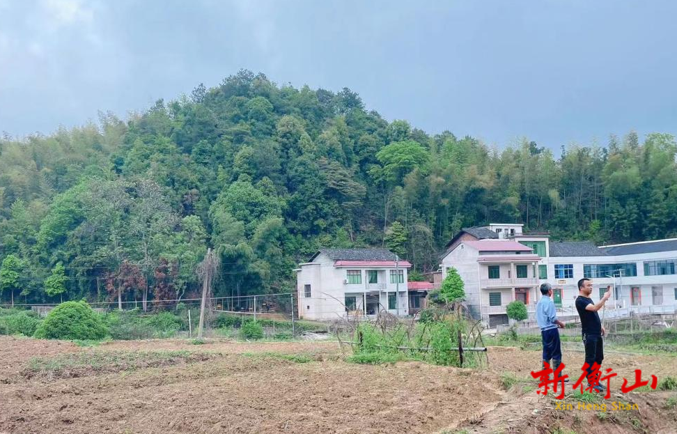 新桥镇：扛起耕地保护责任 切实把田长制抓好抓实