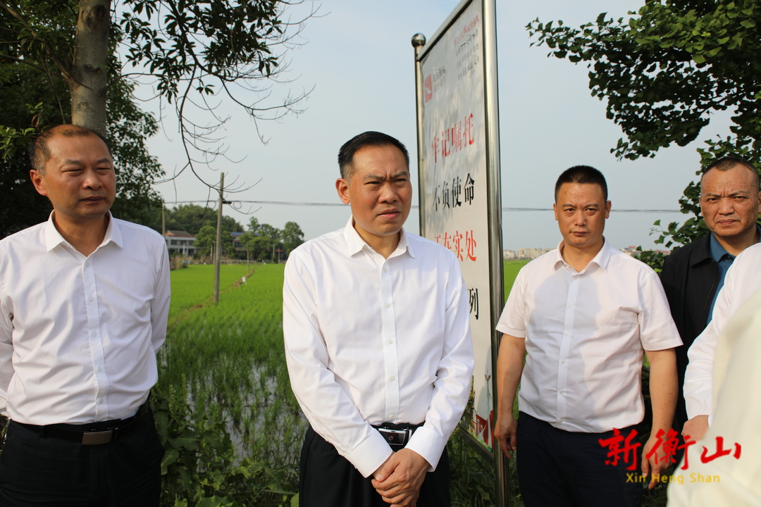 段晓赛专题调研白果镇当前重点工作