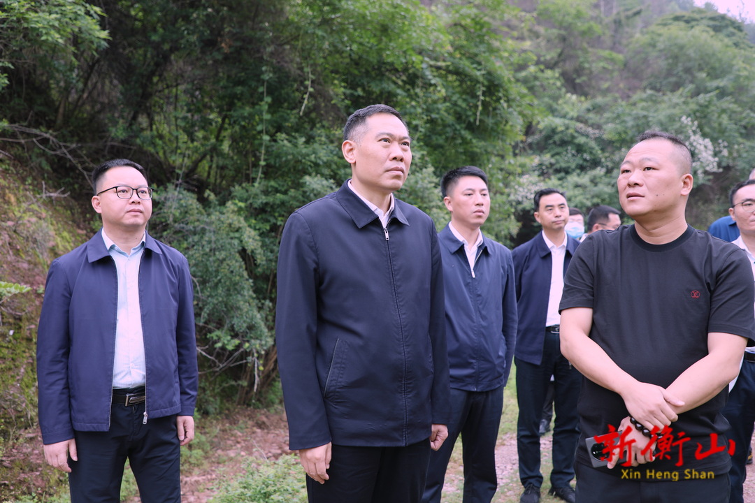 段晓赛赴萱洲镇调度重点项目建设工作