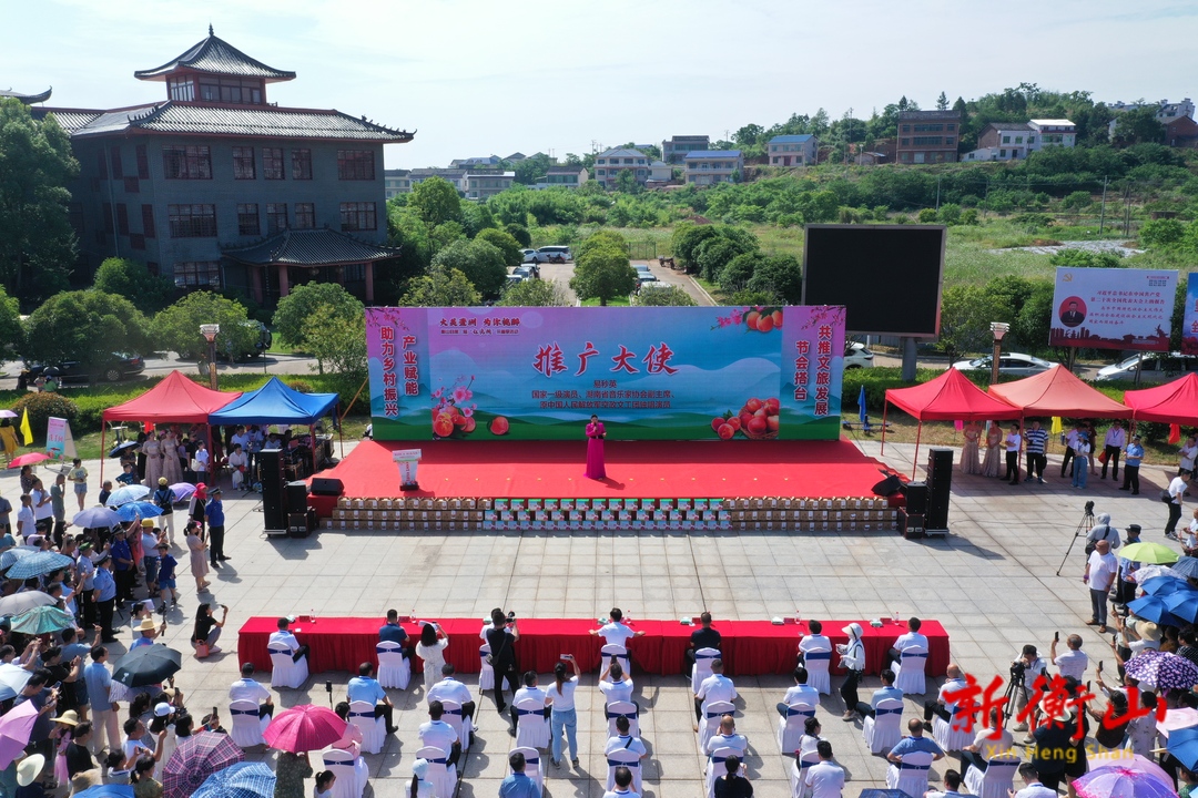 乡村振兴 | 衡山：桃子红了 村民笑了
