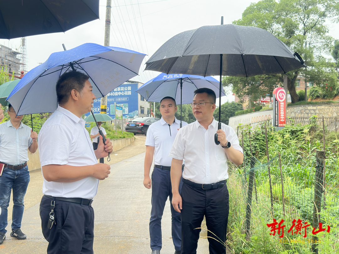 陆志宏专题调研督导基层党建和乡村振兴工作