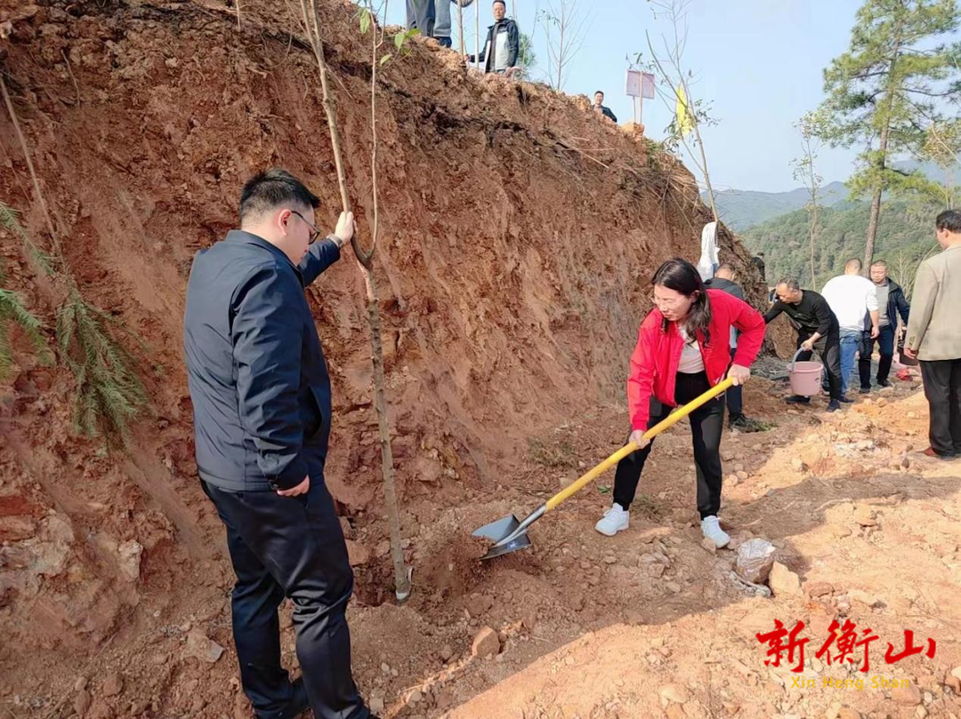 县财政局开展学雷锋义务植树活动