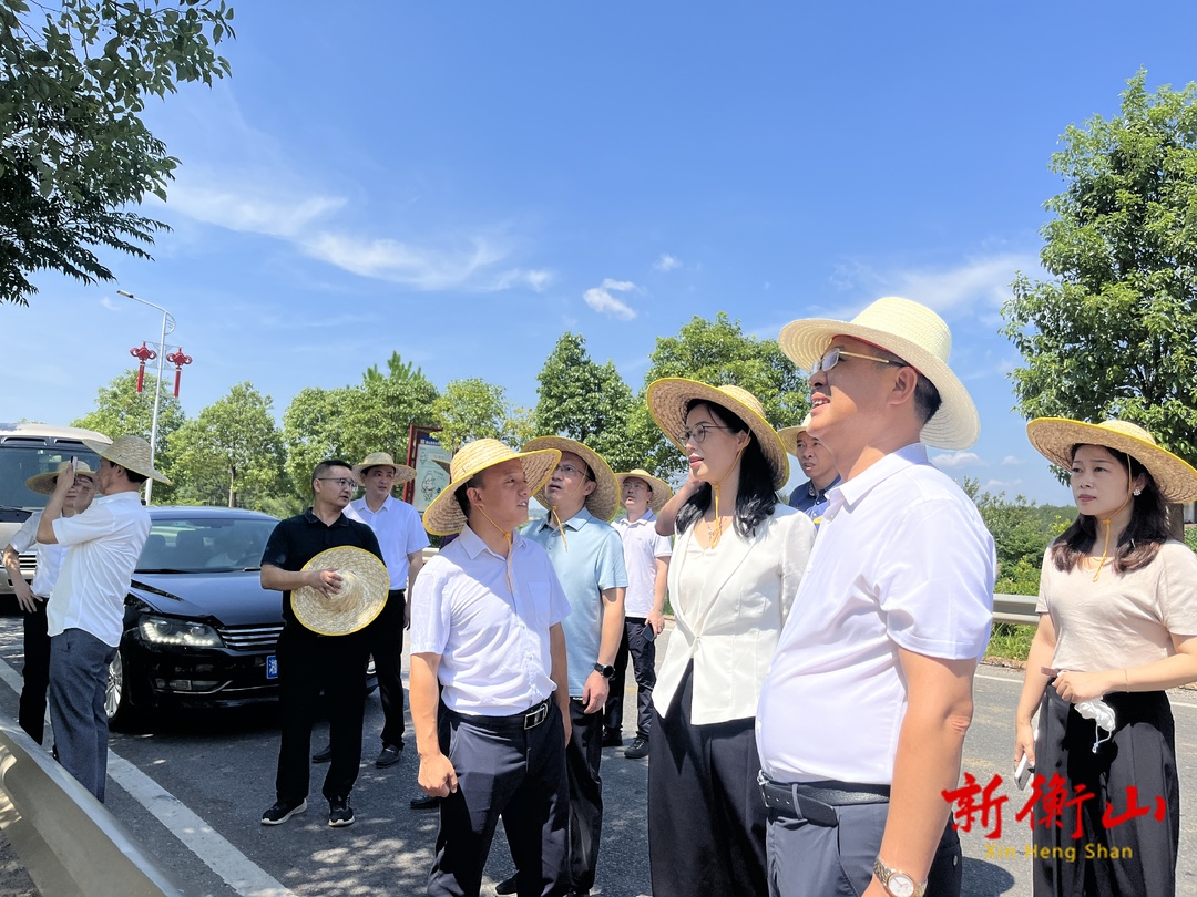 市政协来我县开展“严格耕地保护 全面推行田长制”民主监督