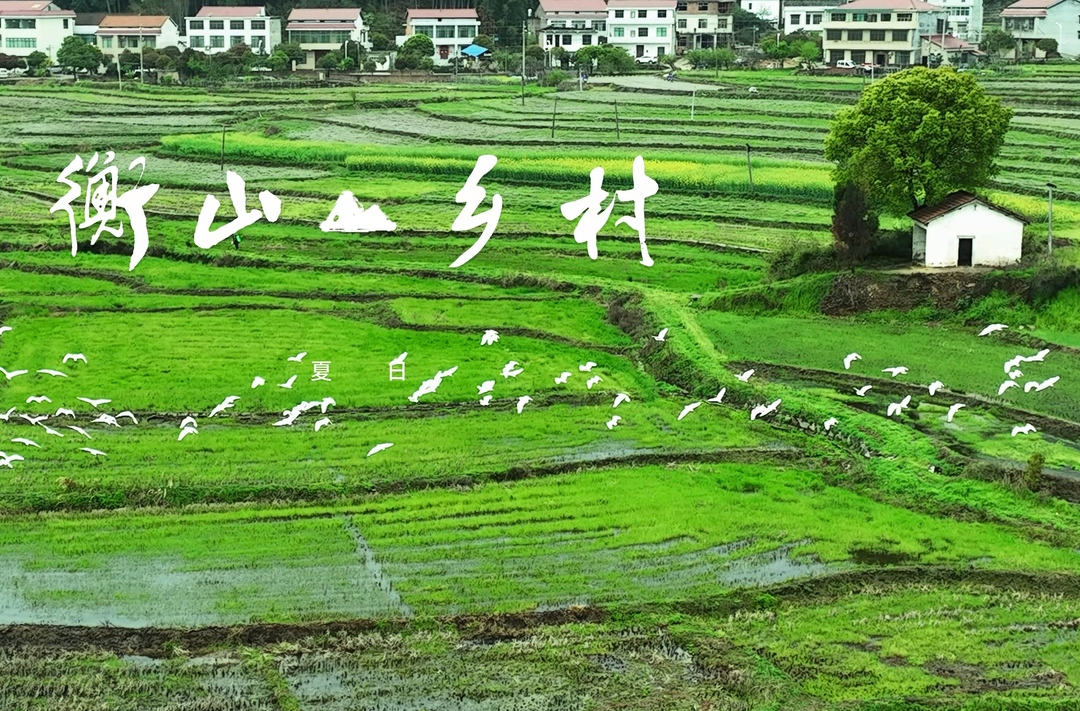 视频 | 衡阳衡山：夏日乡村 祥和时光