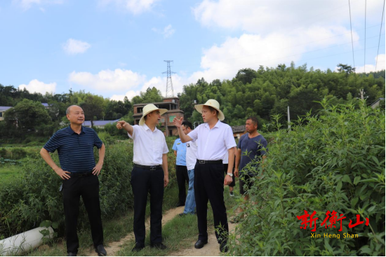 衡山县开展耕地“非农化”“非粮化”专项整治督导检查