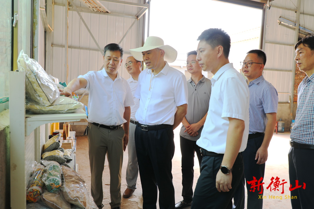 段晓赛赴萱洲镇开展专题调研